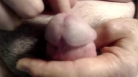 Ray online show from 11-06-25, 01:45