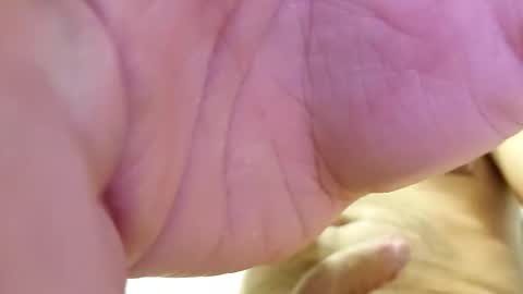 raidehot online show from 10-21-25, 11:44