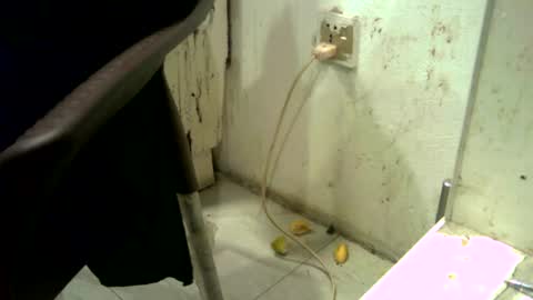 Snapshot of rakulgee111 chatting on 07-07-26, 06:47 rakulgee111 online show from 07-07-26, 06:47
