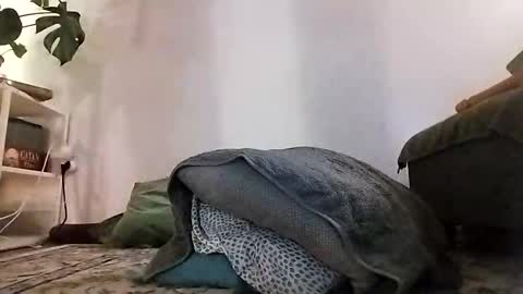 Snapshot of ranchoarg chatting on 01-08-26, 05:48 ranchoarg online show from 01-08-26, 05:48