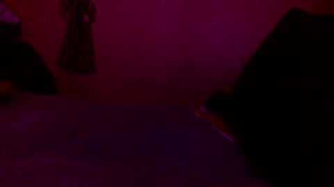 Snapshot of randobad12 chatting on 01-18-25, 10:06 randobad12 online show from 01-18-25, 10:06