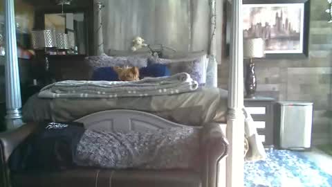 Randy8inbater online show from 01-18-26, 08:12