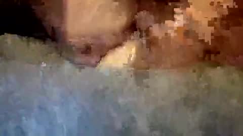 Snapshot of rap0707598343 chatting on 03-28-26, 02:44 rap0707598343 online show from 03-28-26, 02:44