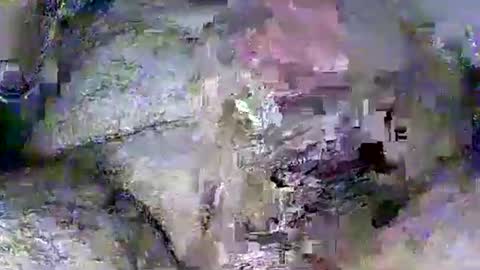 Rasit Adanali online show from 03-08-26, 03:54