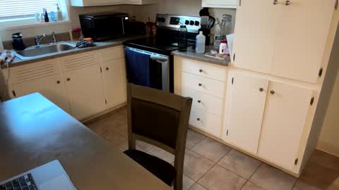 raventhebigbodybitch online show from 02-02-25, 01:08