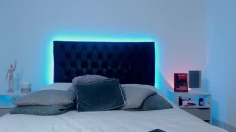 Snapshot of ray_weed chatting on 11-22-25, 11:26 Ray online show from 11-22-25, 11:26