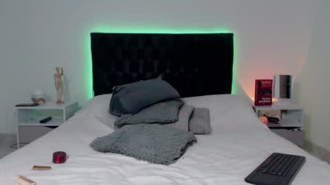 Snapshot of ray_weed chatting on 12-23-25, 02:09 Ray online show from 12-23-25, 02:09