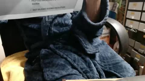 Ray online show from 11-23-25, 03:39