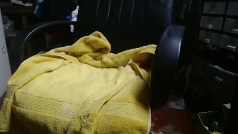 Ray online show from 11-24-25, 12:27