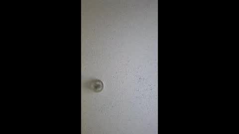 razalgirls online show from 03-03-26, 09:21