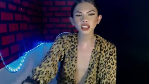 cindy online show from 12-11-24, 03:24