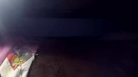 Snapshot of rcalty chatting on 10-14-25, 12:44 rcalty online show from 10-14-25, 12:44