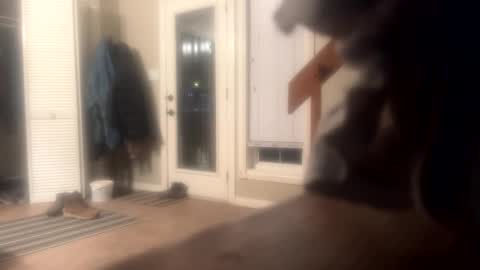Mr Nice online show from 12-10-24, 06:22