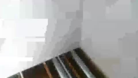 Mr Nice online show from 01-06-25, 02:48