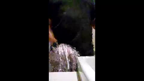 readwithjordanv online show from 02-09-26, 02:10