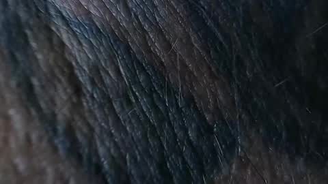 realrubpirate online show from 09-26-25, 08:51