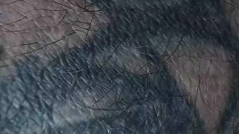 Snapshot of realrubpirate chatting on 03-18-26, 08:50 realrubpirate online show from 03-18-26, 08:50