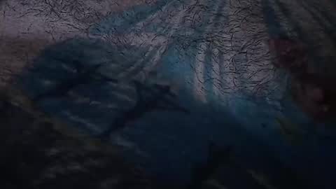 Snapshot of realrubpirate chatting on 03-22-26, 07:56 realrubpirate online show from 03-22-26, 07:56