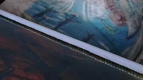 Snapshot of realrubpirate chatting on 04-01-26, 08:04 realrubpirate online show from 04-01-26, 08:04