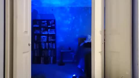 Snapshot of rebelstarlight chatting on 02-16-26, 10:00 rebelstarlight online show from 02-16-26, 10:00