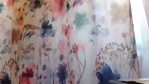 recka810 online show from 02-20-25, 09:42