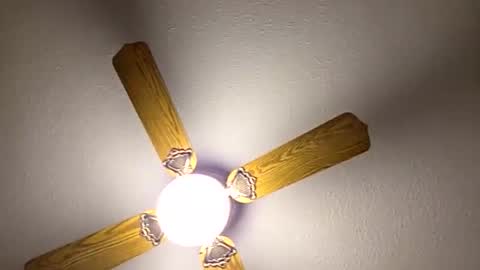 red24devils online show from 03-14-26, 12:39