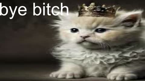 QUEEN OF EVIL online show from 12-28-24, 05:02