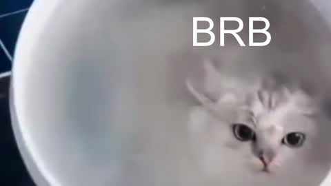 QUEEN OF EVIL online show from 01-10-25, 12:17