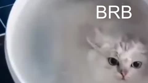 QUEEN OF EVIL online show from 01-12-25, 10:54