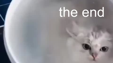 QUEEN OF EVIL online show from 01-13-25, 01:56