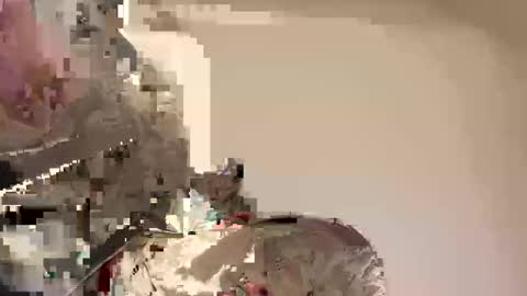 Ali j online show from 04-30-26, 08:57
