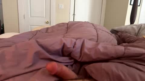 reddy4round4 online show from 02-10-26, 07:18