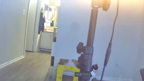 redheadbiiitch online show from 12-28-24, 11:05