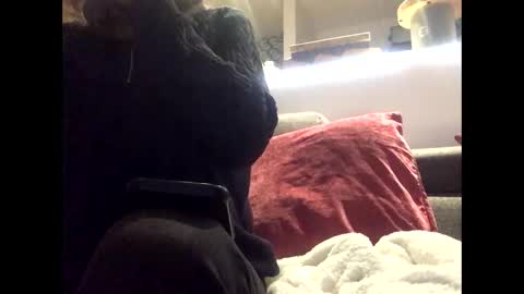 Snapshot of redspider1543 chatting on 01-10-26, 06:31 Redspider154 online show from 01-10-26, 06:31