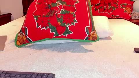 Snapshot of rei_jey chatting on 01-14-25, 02:19 Reid Green online show from 01-14-25, 02:19