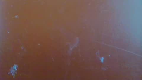 Snapshot of reina_paola chatting on 01-29-25, 06:22 paola online show from 01-29-25, 06:22