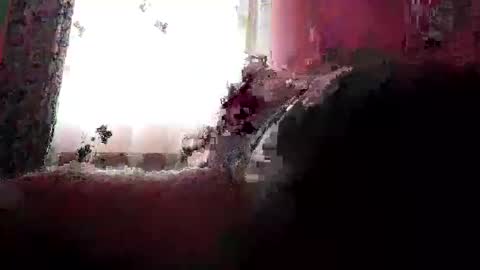 remus60 online show from 02-23-26, 10:12