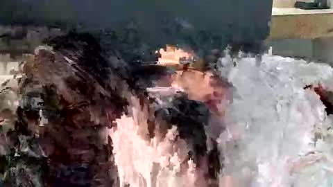 renaexx03 online show from 09-28-25, 02:28