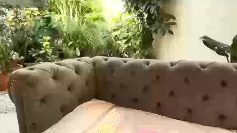 S T A C Y online show from 09-13-25, 01:22