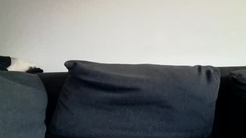 Snapshot of rhymes2479 chatting on 03-31-26, 06:03 Shaved cock ready online show from 03-31-26, 06:03