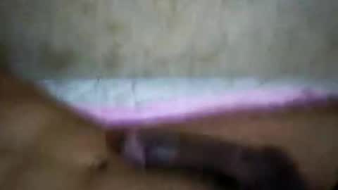 rica1234567890961640 online show from 10-21-25, 05:19