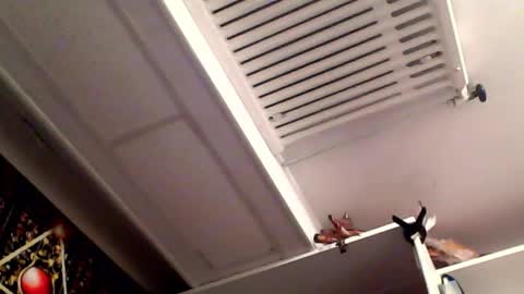 Snapshot of rickdaydream chatting on 03-16-26, 08:35 RICK DAYDREAM online show from 03-16-26, 08:35