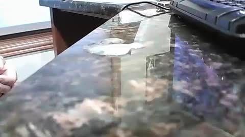 Snapshot of rigellan2021 chatting on 10-01-25, 02:45 rigellan2021 online show from 10-01-25, 02:45