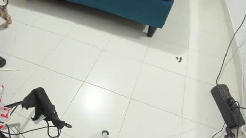 Rihanna hotx online show from 11-12-25, 02:56