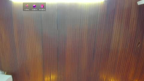 Snapshot of riley_reid_19 chatting on 12-15-24, 03:02 kamila online show from 12-15-24, 03:02