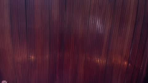 Snapshot of riley_reid_19 chatting on 12-16-24, 02:05 kamila online show from 12-16-24, 02:05