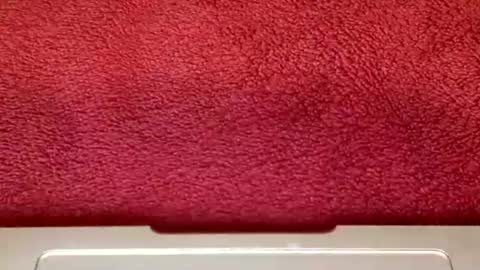 rimalova online show from 10-25-25, 06:32