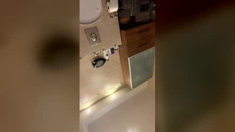 Snapshot of ripostek chatting on 02-20-26, 12:29 ElJames online show from 02-20-26, 12:29