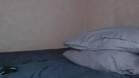 Snapshot of risuo chatting on 04-04-26, 01:15 risuo online show from 04-04-26, 01:15