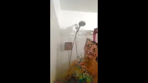 Randiz online show from 03-23-26, 12:53